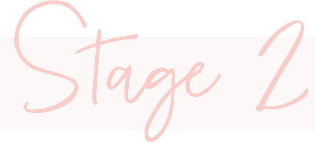 Stage 2